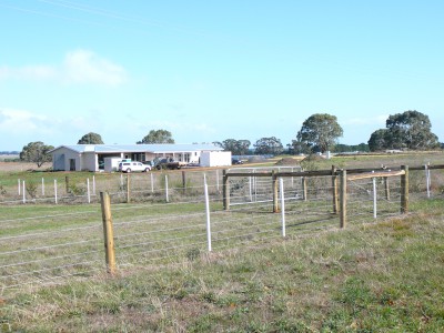Officer horse fence, house and shed in background